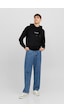 Jack & Jones Jack&jones Jorvesterbro Sweat Hood Noos Siyah 001
