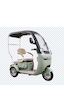 Arora Rüzgar Pro 650 W 60 V 20 AH 3 Tekerlekli Elektrikli Motosiklet Yeşil