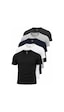 Piano Luce Erkek 5 Li Paket T-shirt Kısa Kollu Bisiklet Yaka Regular Fit 5 Renk Seçenekli Çok Renkli