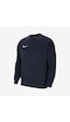 Nike Erkek Sweatshirt Team Park 20 Crewneck Cw6902-451 001