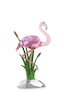 5721551 Swarovski Biblo Idyllıa:flamıngo