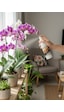 Anti Fungus Mantar Enfeksiyon Önleyici Orkide Ve Yeşil Bitkiler İçin Anti Fungus Mantar Enfeksiyon Önleyici Orkide Ve Yeşil Bitkiler İçin