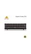 Behringer Digital Snake S32