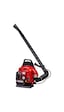Palmera EB-650 Benzinli 3.7 HP Yaprak Üfleme Makinesi