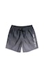 Quiksilver Warped Logo 17 M Jamv Erkek Volley Short Siyah