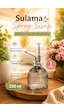Perotti 15731 Gri Vintage Cam Bitki Sulama Şişesi Sprey Şişe