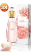 Avon Celebre Kadın Parfüm EDT 3 x 50 ML Avon Celebre Kadın Parfüm EDT 3 x 50 ML