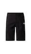 The North Face M Exploration Short Erkek Outdoor Şortu Nf0a8fu9jk31siyah Siyah