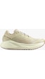 Salomon Aero Glıde 3 Grvl Green Haze/vanilla Ice/russet Erk Yol Koşusu Ayakkabısı L47797300 Yeşil Salomon Aero Glıde 3 Grvl Green Haze/vanilla Ice/russet Erk Yol Koşusu Ayakkabısı L47797300 Yeşil