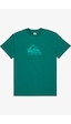 Quiksilver Ev Comp Logo Erkek Tişört Yeşil