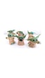 6 Lı Star Wars 3d Baby Yoda Mini Figür Seti Oyuncak 6cm