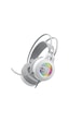 Havit Gamenote H2040D Rgb Gaming Mikrofonlu Oyuncu Kulaklığı