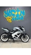 Bajaj Pulsar Ns 200 Özel Üretim Ön Koruma Demiri 3 Takozlu Beyaz