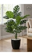 Biçiçek Yapay Monstera Deve Tabani 60 Cm Si̇yah Yakut Saksıda Biçiçek Yapay Monstera Deve Tabani 60 Cm Si̇yah Yakut Saksıda