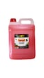 Luxor Kimya Mango Kavun Oto Kokusu 5 L