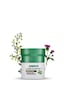 LR Liver Support 30 Kapsül LR Liver Support 30 Kapsül