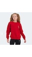Slazenger LONE Çocuk  Kırmızı Sweatshirt