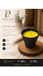Saksı Tasarımlı Citronella Mum Limon Kokulu Sinek Uzaklaştıran Mum Aromaterapi Mum Siyah Saksı Tasarımlı Citronella Mum Limon Kokulu Sinek Uzaklaştıran Mum Aromaterapi Mum Siyah