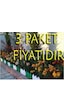 Dekoratif Geçirmeli Renkli Bahçe Çiti ( 3 Paket ) Yeşil Dekoratif Geçirmeli Renkli Bahçe Çiti ( 3 Paket ) Yeşil