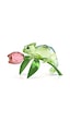5719811 Swarovski Biblo Idyllıa:chameleon And Tulıp 5719811 Swarovski Biblo Idyllıa:chameleon And Tulıp