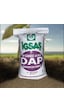 Igsaş Diamonyum Fosfat Dap Gübresi-50 KG
