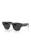 Rayban Rb 0316 S 1367 / 48 50 Polarize Unisex Güneş Gözlüğü Diğer Rayban Rb 0316 S 1367 / 48 50 Polarize Unisex Güneş Gözlüğü Diğer