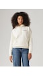 Levi's Graphic Everyday Hoodie-5060 Stacked Snowflower Tonal White