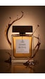 Tudors Dark Royal Erkek Parfüm EDP 100 ML