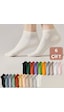 Kral Socks Çorabı Renkli 6 Çift Likralı Pamuklu Penye Kadın Patik Çorap Asorti