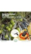 Zanon Karbonium Evo Al300 33v Zeytin Hasat Makinası