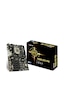 Biostar TB360-BTC PRO Ver.6x 8.9.Nesil LGA 1151 DDR4 2666 M.2 12'li Ekran Girişi HDMI Mining Anakart