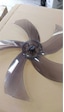 Raks Sf 18 18 Rmx Pervane 43 Cm