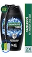 Palmolive Pure Arctic Erkek Duş Jeli 2 x 500 ML + Seyahat Kiti
