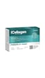 Doctamin İcollagen 1500 Mg 60 Tablet Doctamin İcollagen 1500 Mg 60 Tablet