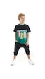 Denokids Mshb&g Finish Erkek Çocuk T-shirt Baggy Kapri Takım Çok Renkli