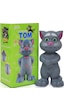 Konuşan Kedi Tom Ses Kaydeden Müzikli 20 Cm
