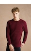 Erkek Bordo Nevrüllü Bisiklet Yaka Triko Kazak-trzcm28888r07s Bordo