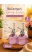 Porsima 15731 2'li Cam Sprey Şişe Seti 250 Ml Mor Cam Çiçek Bitki Sulama Püskürtücü & Sprey Yağdanlık