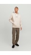 Jack & Jones Jack&jones Jorvesterbro Sweat Hood Noos Taş 001