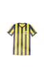 Fenerbahçe Çubuklu Forma Büyük Sticker 40x50cm Orijinal Lisanslı Ürün Çok Renkli