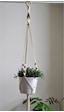 Floralmacramedesign Sarmal Düğümlü El Yapımı Makrome Saksılık