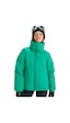 Roxy Roxy Snow Winter Rebel Jk Kadın Yeşil Snowboard Ceketi Gnw0 Yeşil