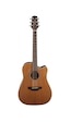 Takamine Gd11Mce Ns Maun Elektro Akustik Gitar Kılıf + Askı + Jak + Pena