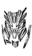 Honda Pcx 2021-24 Tank Pad Seti Karbon Beyaz 33 Parça