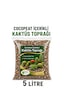 Kaktüs Toprağı Cocopeat Perlit Ve Pomza Katkılı Özel Karışım 5 Litre