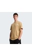 The North Face M Evolutıon Box Nse Erkek T-shirt Nf0a8b6klk51 Bej