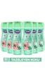 Duru Fresh Sensations Kaktüs Çiçeği Duş Jeli 6 x 450 ML