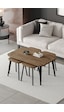 Roma Orta Sehpa Metal Ayaklı , 4+1 Orta Sehpa , 100 X 60 X 50 Cm Siyah Metal Atlantik Çam