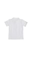Beyaz Kısa Kol Düz Renk Yakalı 6-17 Yaş Çocuk Okul Lakos Tişört Polo Yaka T-shirt Beyaz Beyaz Kısa Kol Düz Renk Yakalı 6-17 Yaş Çocuk Okul Lakos Tişört Polo Yaka T-shirt Beyaz