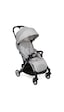 Chicco Goody Plus Kabin Tipi Bebek Arabası